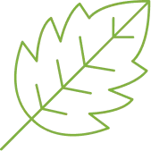 Vert Coop Services Paysagiste Dans Les Alpes Maritimes 06 Illustration 1