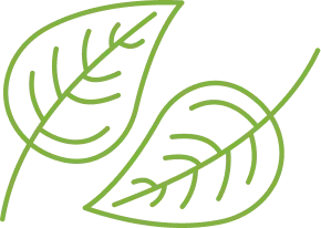 Vert Coop Services Paysagiste Dans Les Alpes Maritimes 06 Illustration 2 1