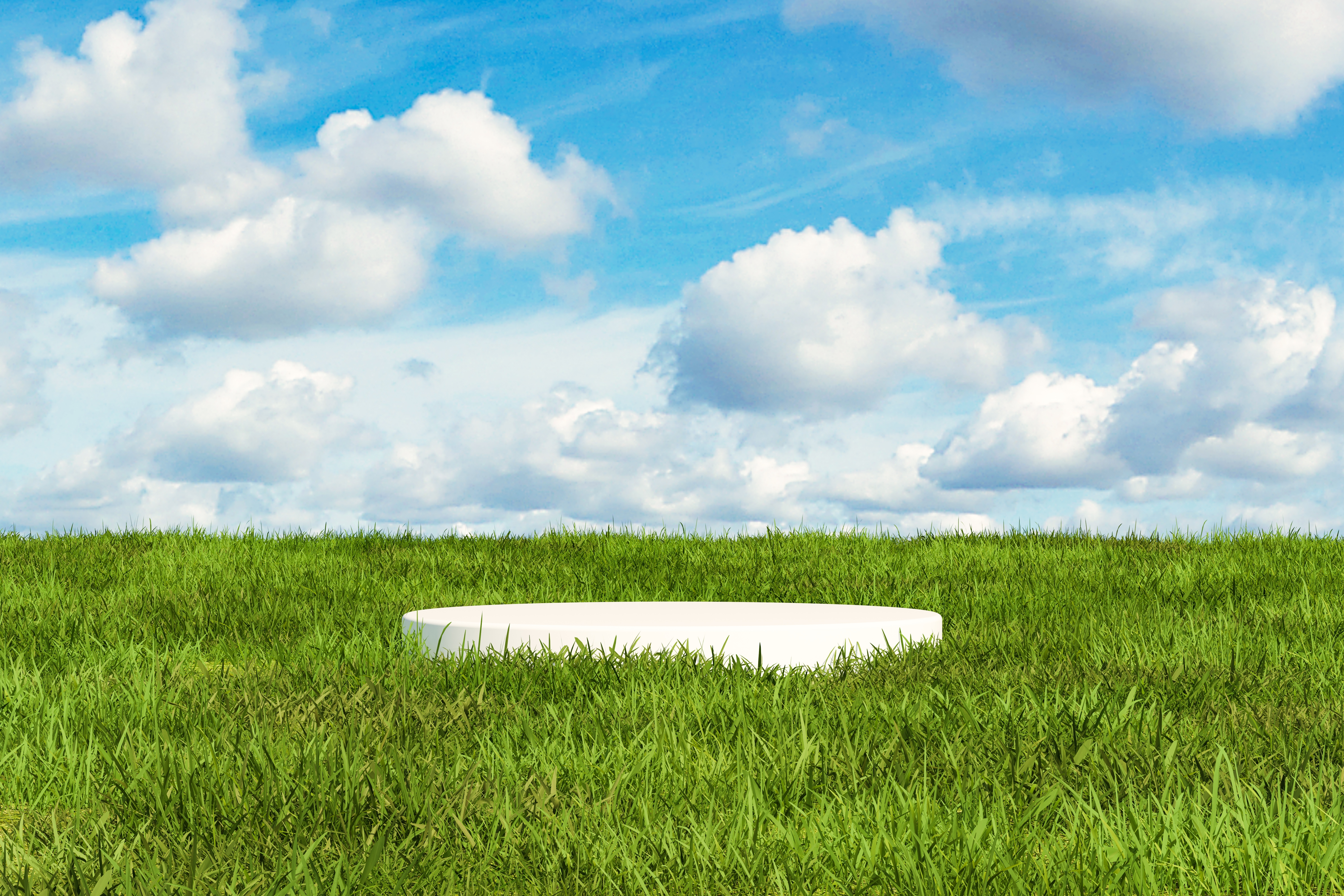Natural,Podium,Backdrop,For,Product,Display,With,Sky,Background,,Blank
